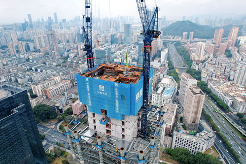 零借歲月煥新顏，共享時代品質城——探索深圳民生工程建設心得